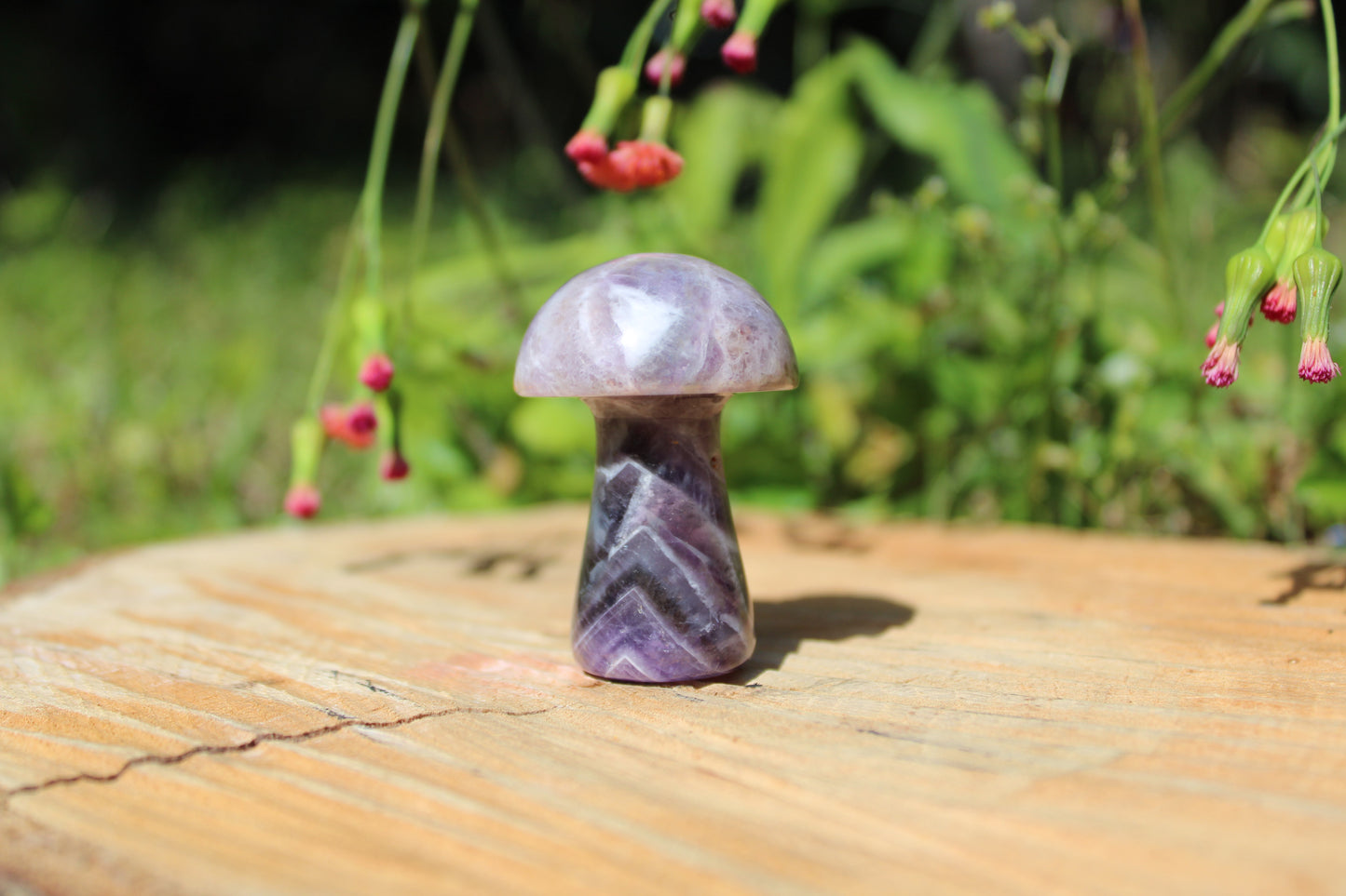 Gemstone Mushroom