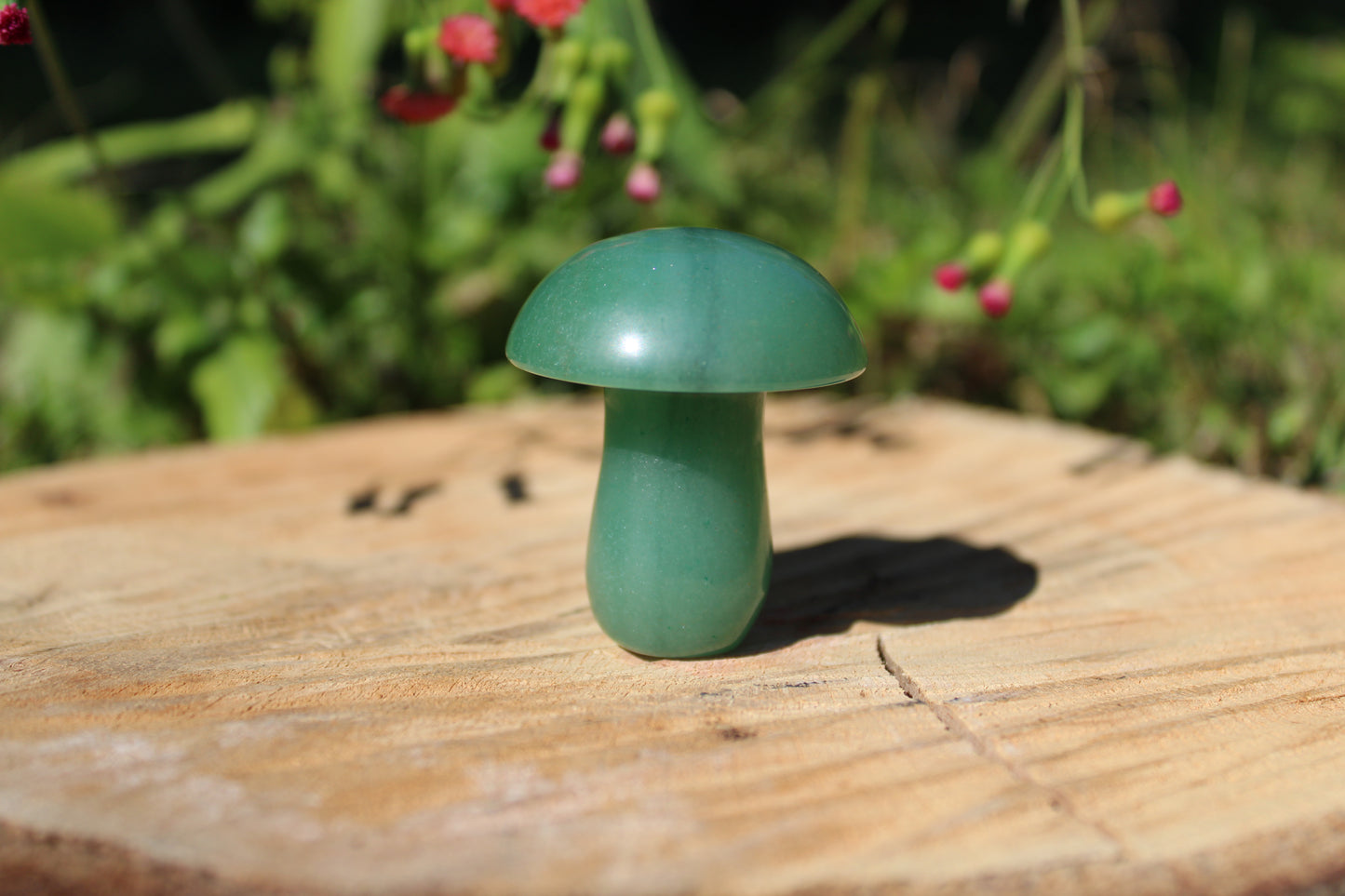 Gemstone Mushroom