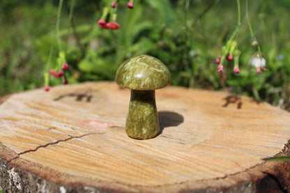 Gemstone Mushroom