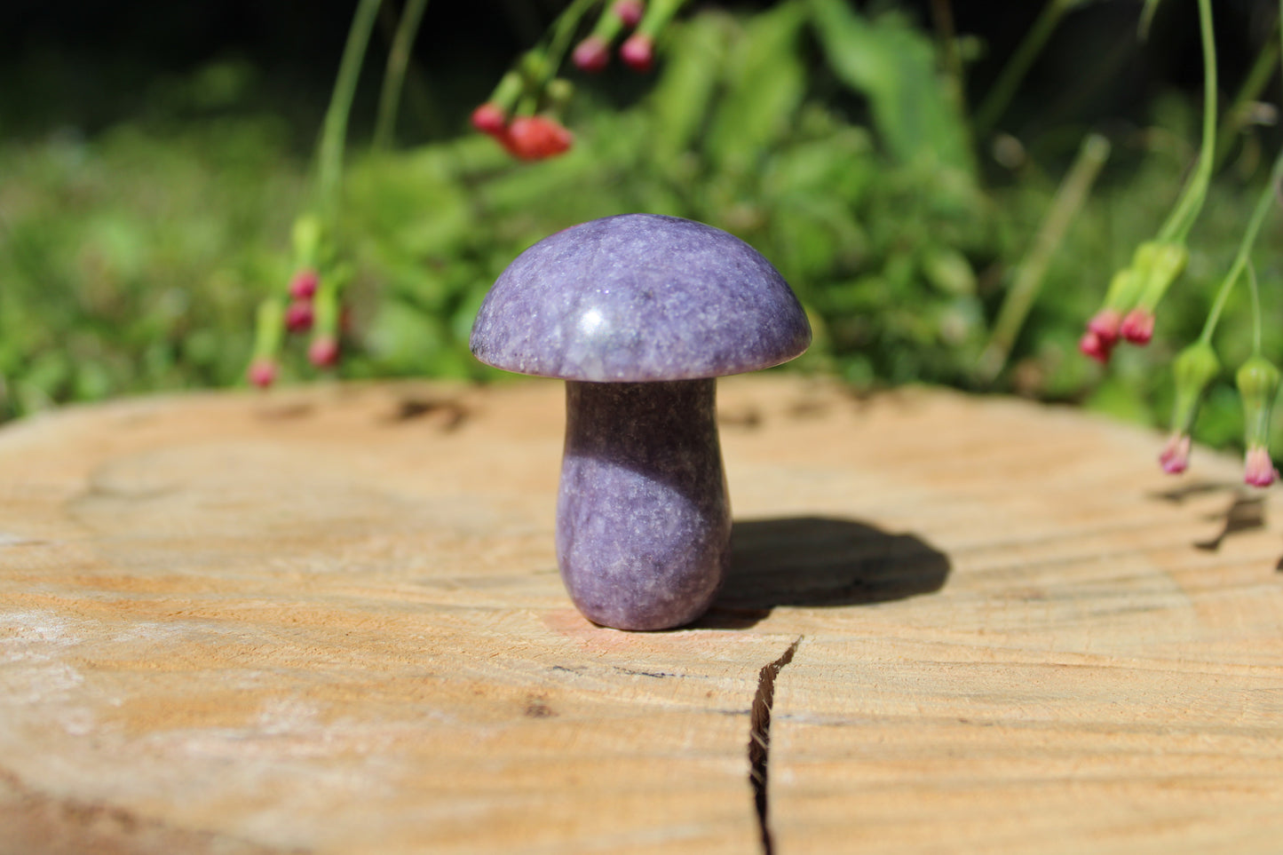 Gemstone Mushroom