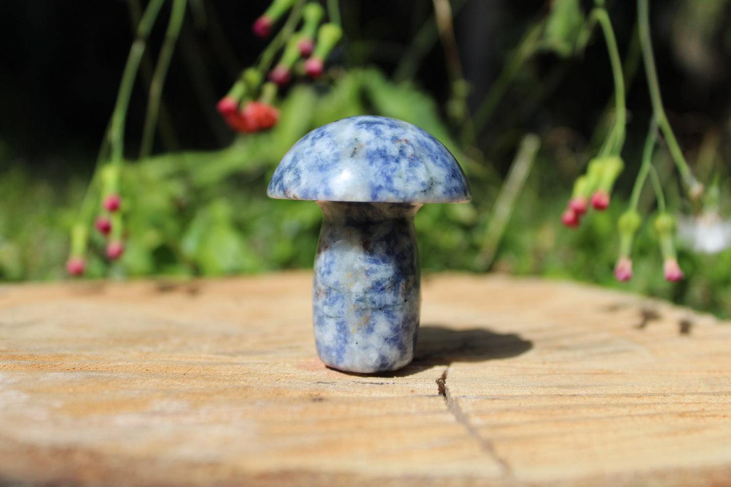 Gemstone Mushroom