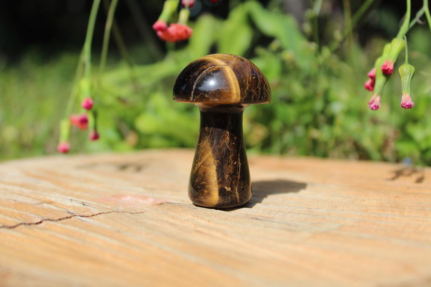 Gemstone Mushroom